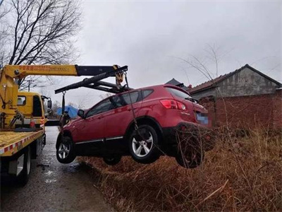 萨嘎楚雄道路救援